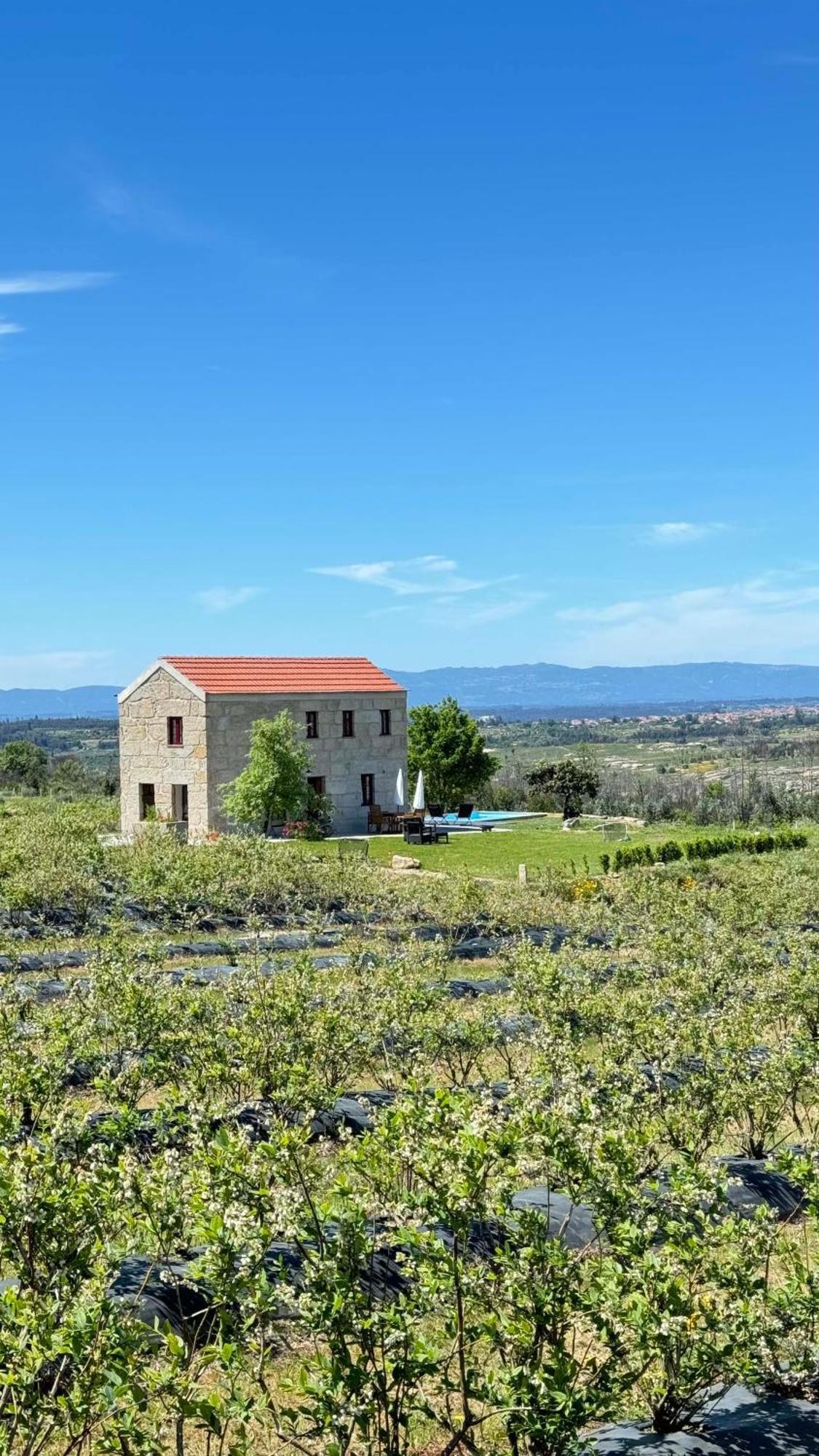 Villa Quinta Da Cumieira Nova à Seia Extérieur photo